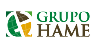 grupo hame logo